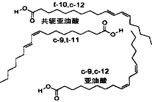 亚油酸和两种主要共轭亚油酸图